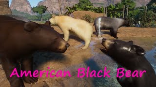 American Black Bear by GiornoPizza - Planet Zoo Mod