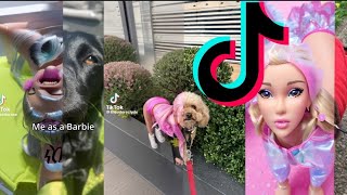 DOGS VS THE BARBIE FILTER ON TIKTOK, FUNNY TRENDING VIDEOS #tiktok #floptok