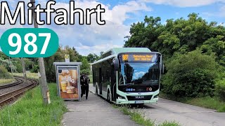 Mitfahrt | MAN Lion's City 12G EfficientHybrid | Linie 987 | Spitzkrug Nord - Neuberesinchen