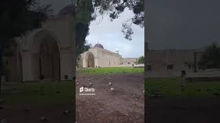 مسجد الاقصیٰ Chirping of birds in Al-Aqsa Mosque