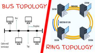 Bus topology vs ring topology|computer topology|difference between bus topology and ring topology.