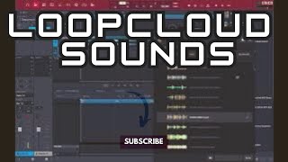 Loopcloud Sounds Tutorial - Loopcloud Sounds Demo and Review