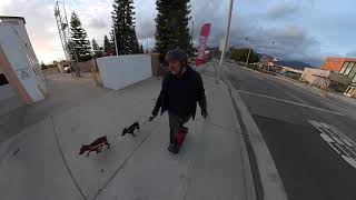 Onewheel Pint street ride with dogs