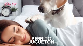 Perro juguetón