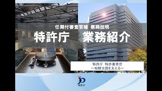 任期付審査官補　業務説明