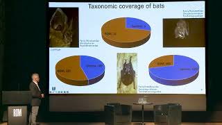 ROM Ideas: Mining Bat DNA - Working Together to Prevent Future Coronavirus Pandemics