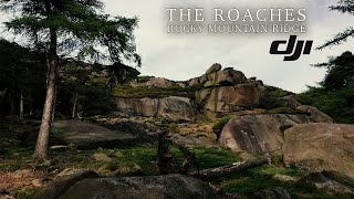 Reupload: TESTING OUT MY MAVIC MINI AT THE ROACHES