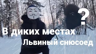 В диких местах | 1 серия львиный снюсоед