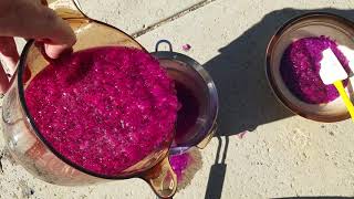 Making organic dragon fruit juice and tea