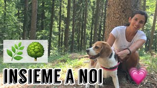 *NEW* LA PACE DEI SENSI // VLOG NELLA NATURA // Elenatwinklehome