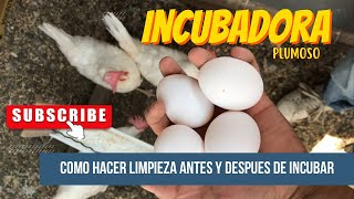 ✅ ¿Como hacer LIMPIEZA a tu incubadora para desinfectar antes de incubar? #instagram #youtube #chick