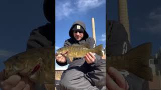 Fishing downtown Denver is back with some winter smallmouth bass fishing