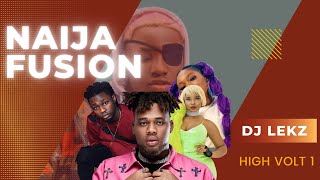 BEST NAIJA AFROBEAT MIX 2022 | TOP AFROBEAT VIDEO MIX | AFROBEATS MIX 2022 | REMA, ,CKAY,JOE BOY