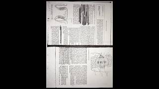 Taste, Taste processes, taste bud #taste #tasteprocess #tastebud #psychology #biology