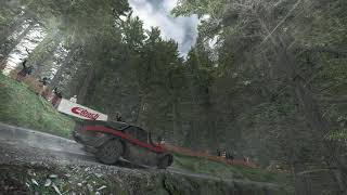 Dirt Rally (По хардкору от первого лица) #12