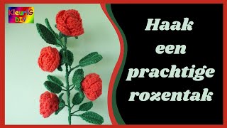 Haken ♥ Rozentak / Roos