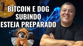 DOG GO TO THE MOON AGORA VAI DECOLAR - BITCOIN VOLTA A SUBIR E MERCADO MOSTRA SINAIS DE FORTE ALTA