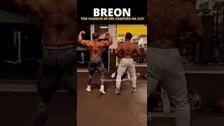 Quais as chances de Breon ser campeão na 212? #shorts #bodybuilding #mrolympia