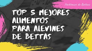 📢Top 5 mejores ALIMENTOS para ALEVINES de BETTAS 🤯👍