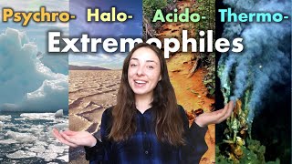 Extremophiles: Organisms That Live in Extremely Cold, Hot, Acidic, or Salty Environments | GEO GIRL