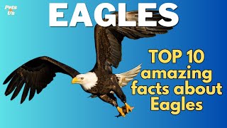 🔝 10 Amazing facts about Eagle 🦅 | Facts about Eagles 2023 | Pets and Us