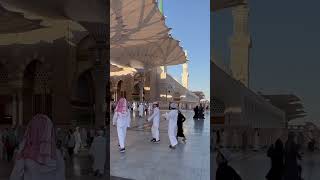 Masjid Nabawi sharif. #madina #makkah #religion #jumma