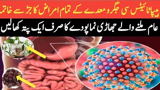 Best Home Remedy For Fatty LiverDr Mushtaq Ahmad