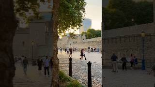 Tower of London & SKD Katharine Dock 🇬🇧🇬🇧