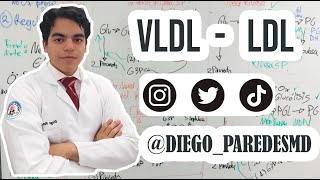 VLDL y LDL - Bioquímica