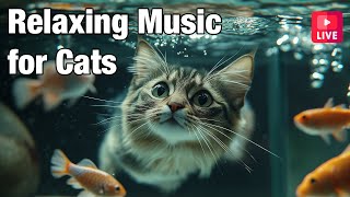 🔴[LIVE] Cat Music for Relaxation🎵 Calming Music for Cats🐱 🎵 Separation Anxiety Music for Cats Relax🔴