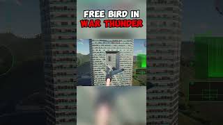 Free bird yeahhh #warthunder #shorts #viral