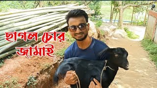 এই ঈদের আকর্ষণ 🤔 ছাগল চোর জামাই | Bangla Funny Video 2024 || Eid Specials Short Film | SP TV