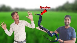 Prank With Friend Idea | By Snake | डरावना प्रैंक | 100% REAL 😯 | #prank #snake