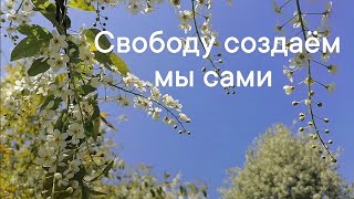 Свободу создаём мы сами (финансы)