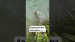 Me espantó esta Pescadora 😂