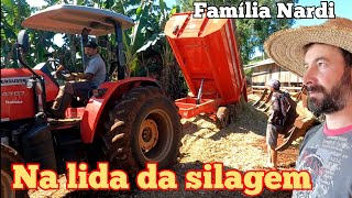 Fazendo a silagem do milho safrinha. Dia de fazer silagem de milho para o gado de leite. Milho, Silo