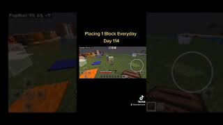 Placing 1 Block Everyday In Minecraft - Day 114