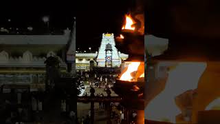 Om Namo venkatesaya going to tirupati#తిరుమాల#tirumala#srivariseva ||#viral#explore#rajexplorevlogs