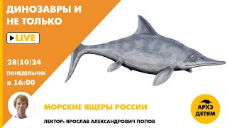 Занятие "Морские ящеры России" кружка "Динозавры и не только" с Ярославом Поповым