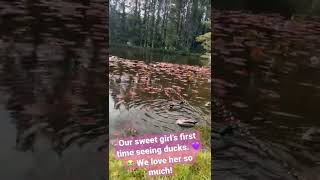 Her first time seeing ducks at the park