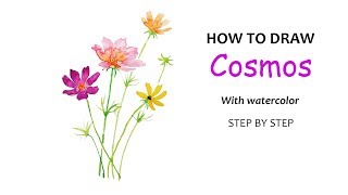 DD Art | How to draw Cosmos flowers (hoa cánh bướm, hoa cúc sao nháy) with watercolor easily