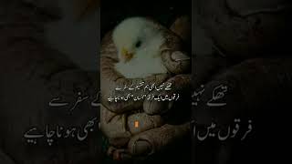 urdu poetry || sad poetry || Best poetry || status #youtubeshorts #shorts