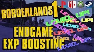 Endgame experience farm. Easily boost levels and proficiencies to max in Borderlands 1.