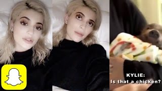 Kylie explains the 'IS THAT A CHICKEN?' Vine on Snapchat | Kylie Snaps