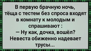 Как Теща с Тестем За Молодыми Подглядывали! Сборник Свежих Анекдотов! Юмор!