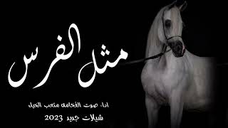 شيلات مثل الفرس علا جميع الميادين 2023 اداء صوت الفخامه متعب الخيل