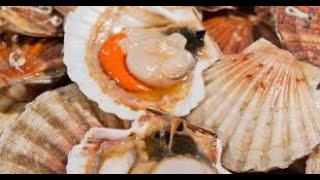 How to cook scallops with shrimps