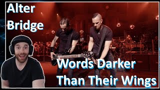 Alter Bridge | A Subtly Awesome Performance | Words Darker Than Their Wings Reaction