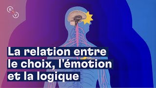 La relation entre le choix, l'émotion et la logique