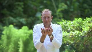 The Chef Series - Pure Nature by Chef Nils Henkel